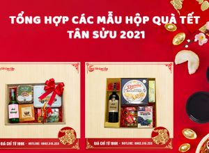 cac-mau-hop-qua-tet
