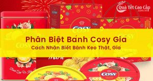 Phân Biệt Bánh Cosy Giả - Cách Nhận Biết Bánh Kẹo Thật, Giả Khi Mua Sắm Tết